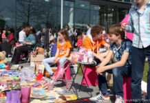 Programma Koningsdag Stadshagen 2015