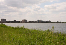 Groenstructuur Stadshagen centraal op twee discussiebijeenkomsten