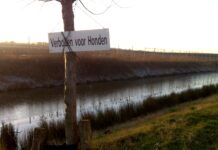 Column: hondenpoep ergernis nummer 1