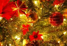 Kerstbomenverkoop in winkelcentrum Stadshagen