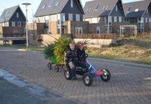 Inzameling oude kerstbomen Stadshagen