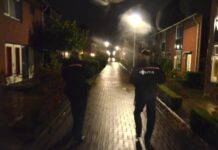 Inbrekers actief in Stadshagen