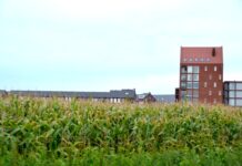 De Tippe de komende 10 jaar niet van de grond