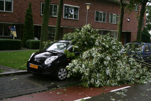 Storm richt schade aan in Stadshagen (foto’s)