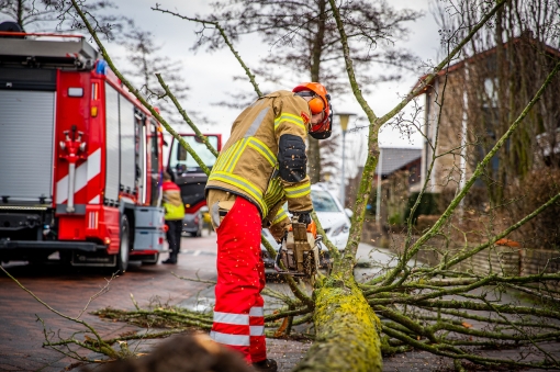 Losse dakpannen, zonnepanelen en kapotte bomen: dit deed storm Eunice in Stadshagen