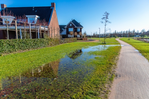 Zwolle wil inwoner helpen regenwater op te vangen