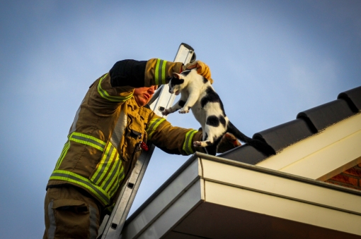 Brandweer in actie om kat in dakgoot