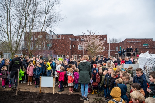 Tegels maken plaats voor voedselbosje op schoolplein